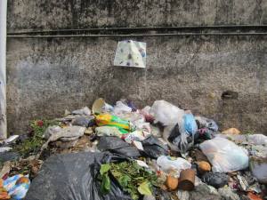 1794580_1437299099824108_1242275924779282365_n