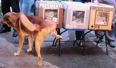 10929004_10153040940707612_1618941234264641851_n