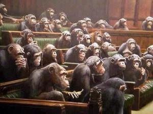 935523_3645273385880_364943809_n