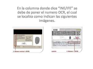 11986556_1464292137212490_9068019039881270205_n