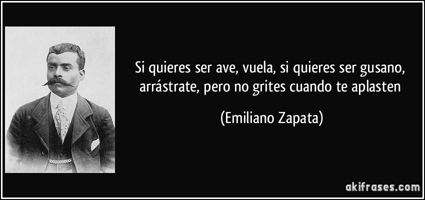 frase-si-quieres-ser-ave-vuela-si-quieres-ser-gusano-arrastrate-pero-no-grites-cuando-te-aplasten-emiliano-zapata-144627